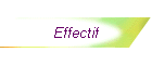 Effectif