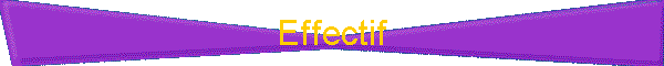 Effectif