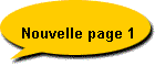 Nouvelle page 1